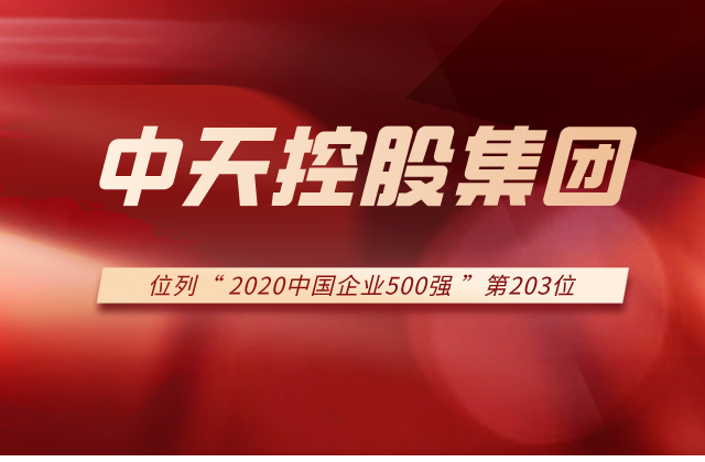 彩虹多多集团列2020中国企业500强第203位！